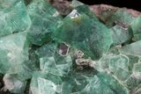 Large, Fluorite & Galena Plate - Rogerley Mine (Clearance Price) #32398-4